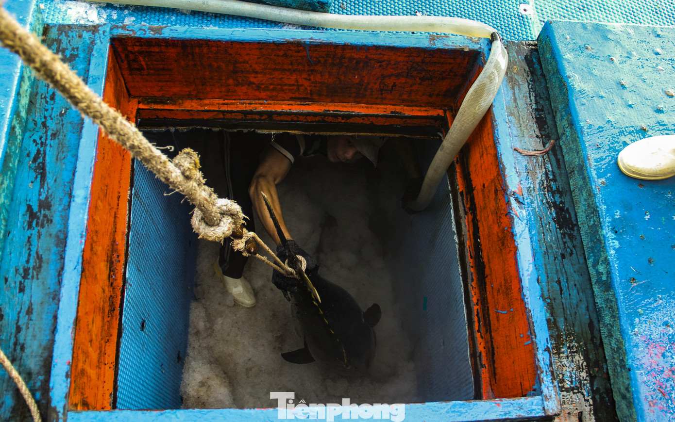 Ăn Tết trên biển, ngư dân Bình Định 'ấm' cả mùa ảnh 5