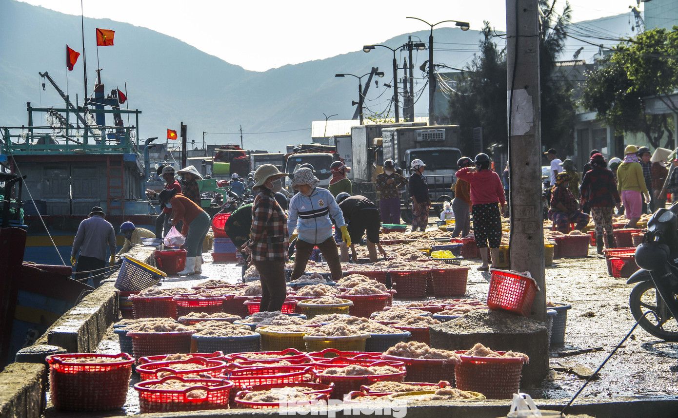Ăn Tết trên biển, ngư dân Bình Định 'ấm' cả mùa ảnh 13
