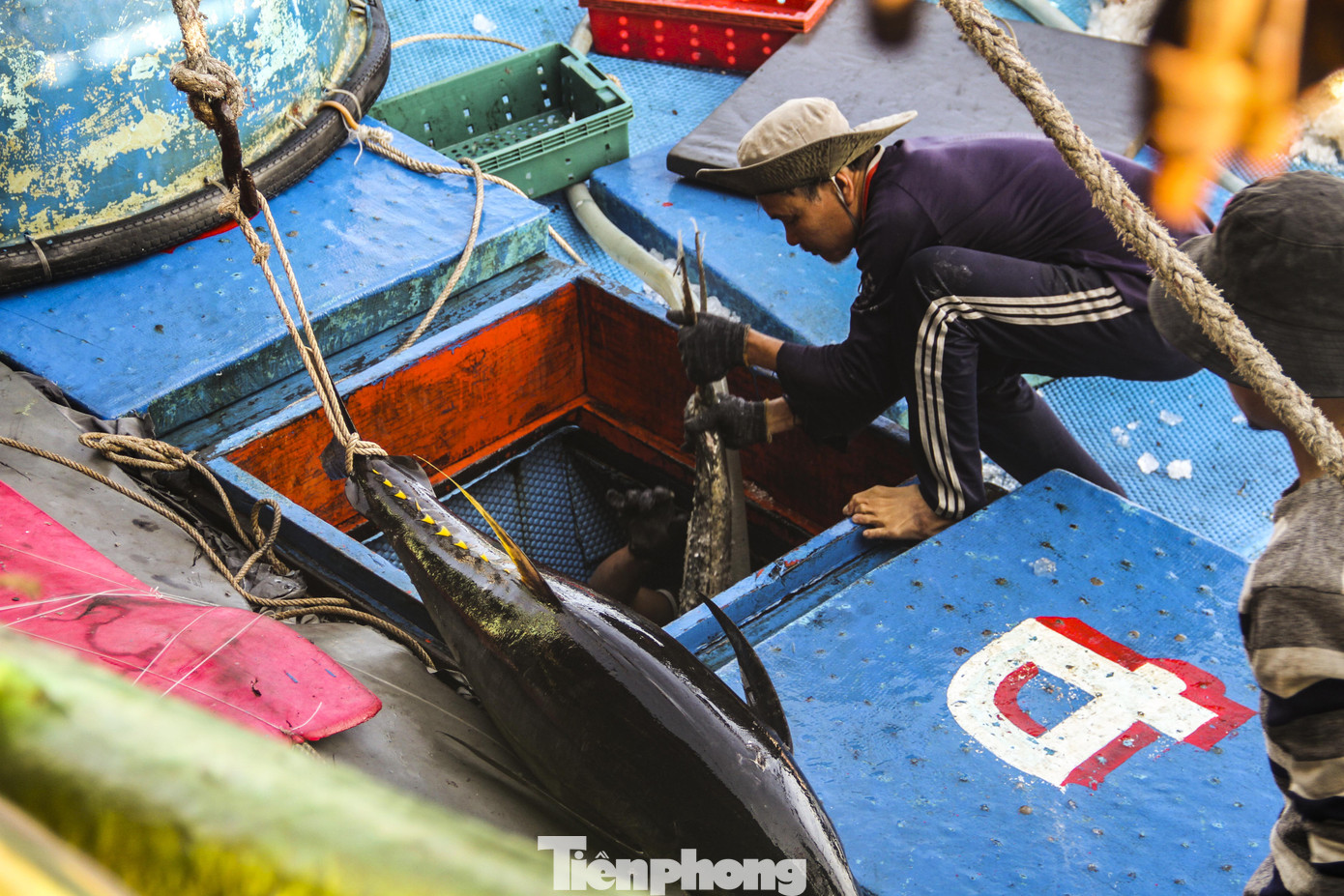 Ăn Tết trên biển, ngư dân Bình Định 'ấm' cả mùa ảnh 2