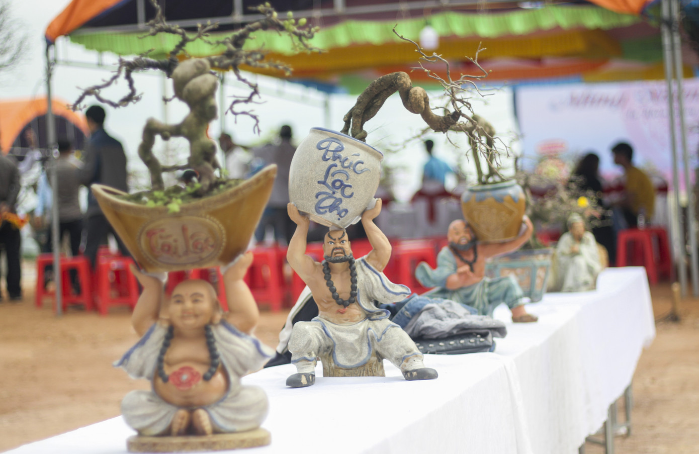 Trầm trồ với những tuyệt phẩm mai vàng ở Bình Định ảnh 3