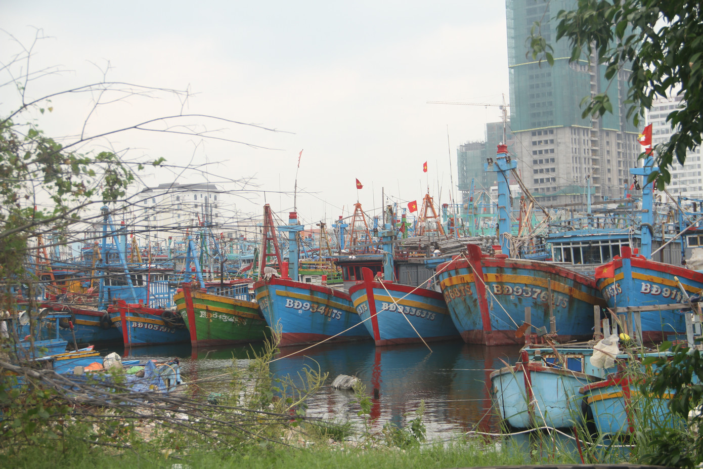 Người dân Quy Nhơn đổ xô xúc cát chèn chống nhà cửa trước bão số 6 ảnh 8