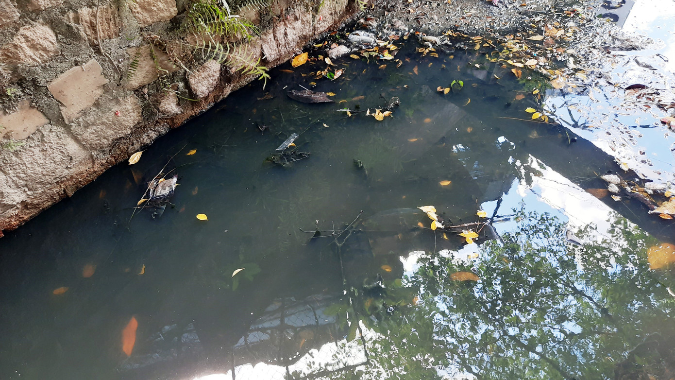 Khu dân cư ở Bình Định khốn đốn vì nước thải ô nhiễm ảnh 3