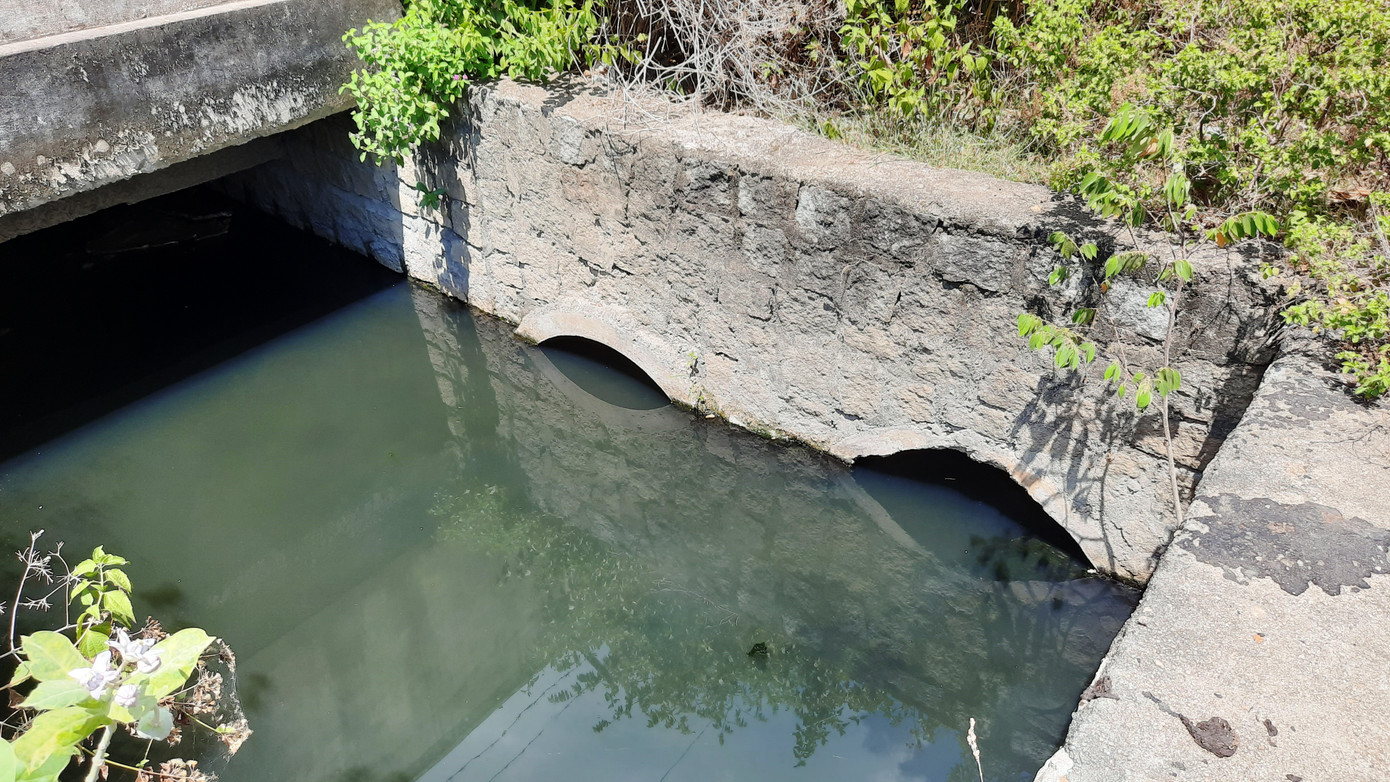 Khu dân cư ở Bình Định khốn đốn vì nước thải ô nhiễm ảnh 4