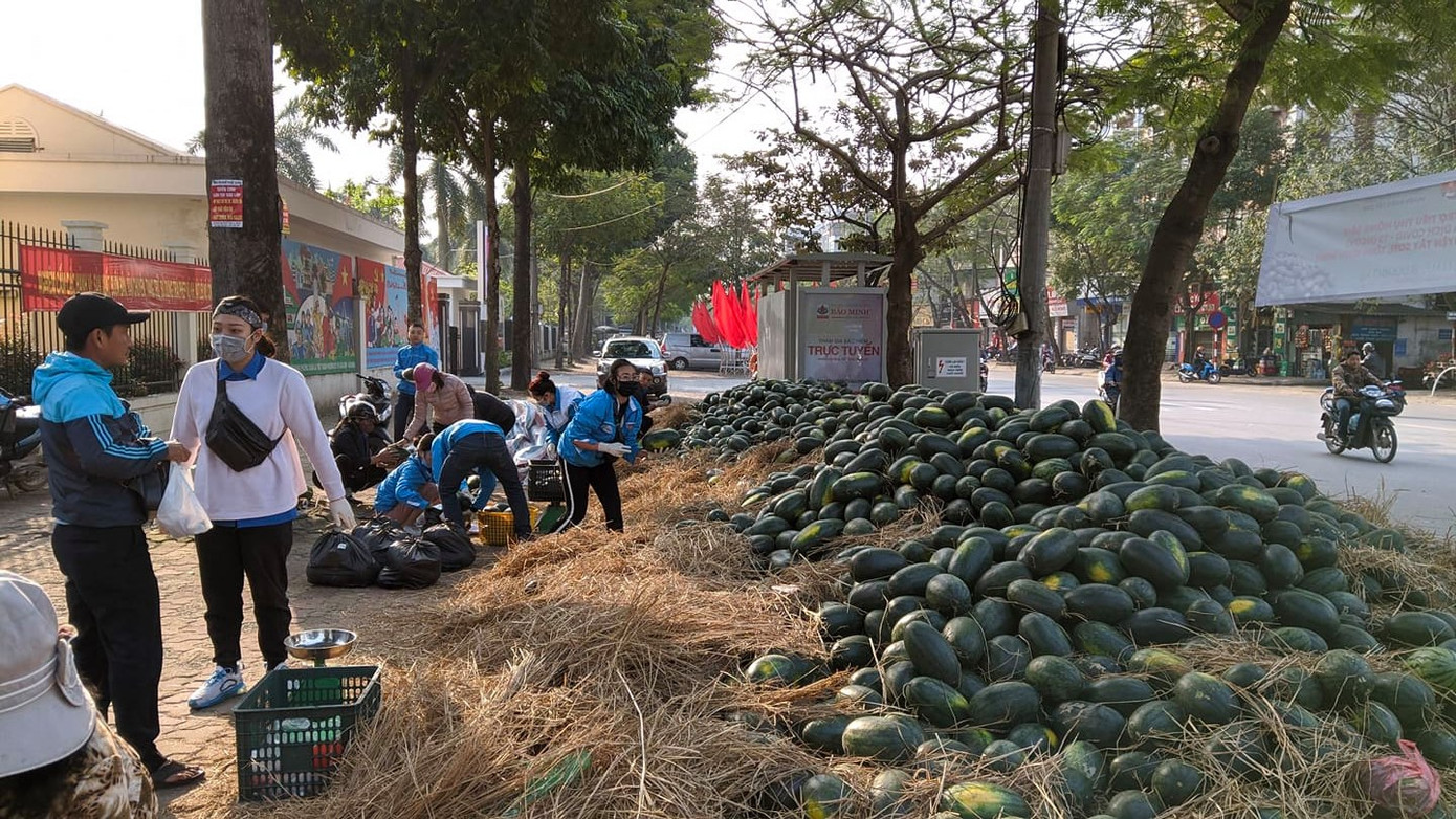 Tuổi trẻ Bình Định tham gia 'giải cứu' dưa hấu trong mùa dịch ảnh 6