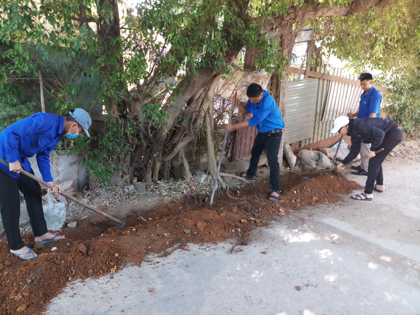 Tuổi trẻ Bình Định đồng loạt ra quân ‘Ngày Chủ nhật xanh’ lần thứ 2 năm 2020 ảnh 1