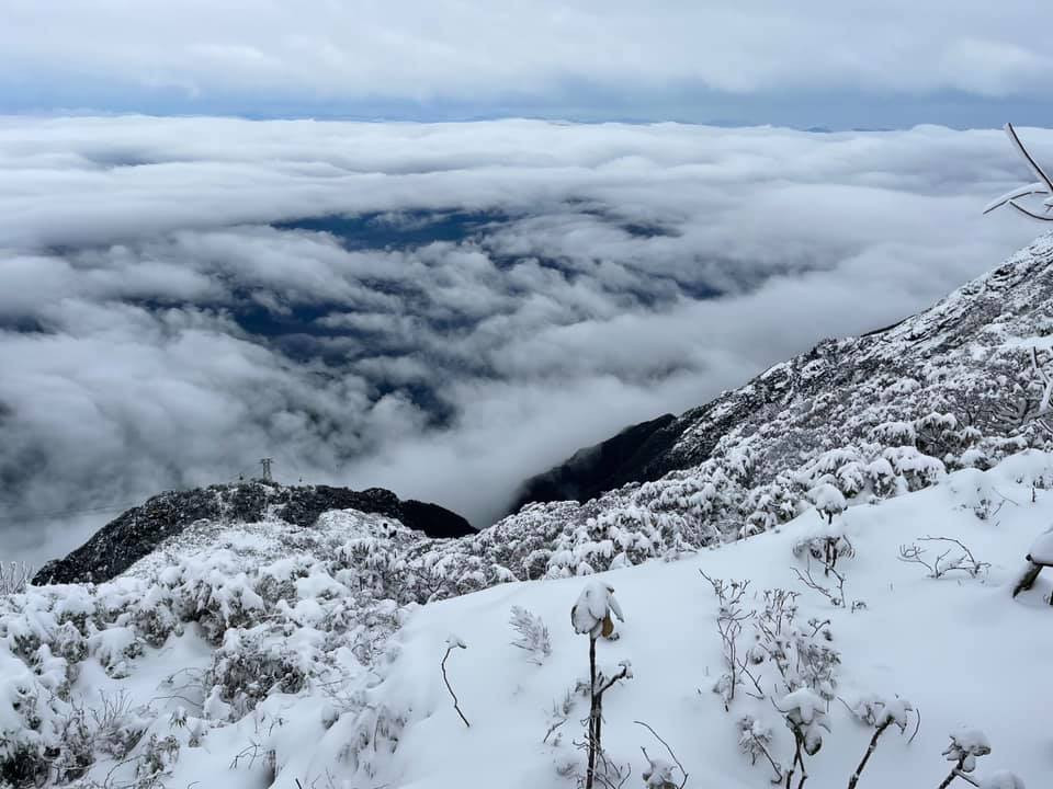 Ngắm tuyết trắng muốt phủ dày tới 60cm trên đỉnh Fansipan ảnh 2