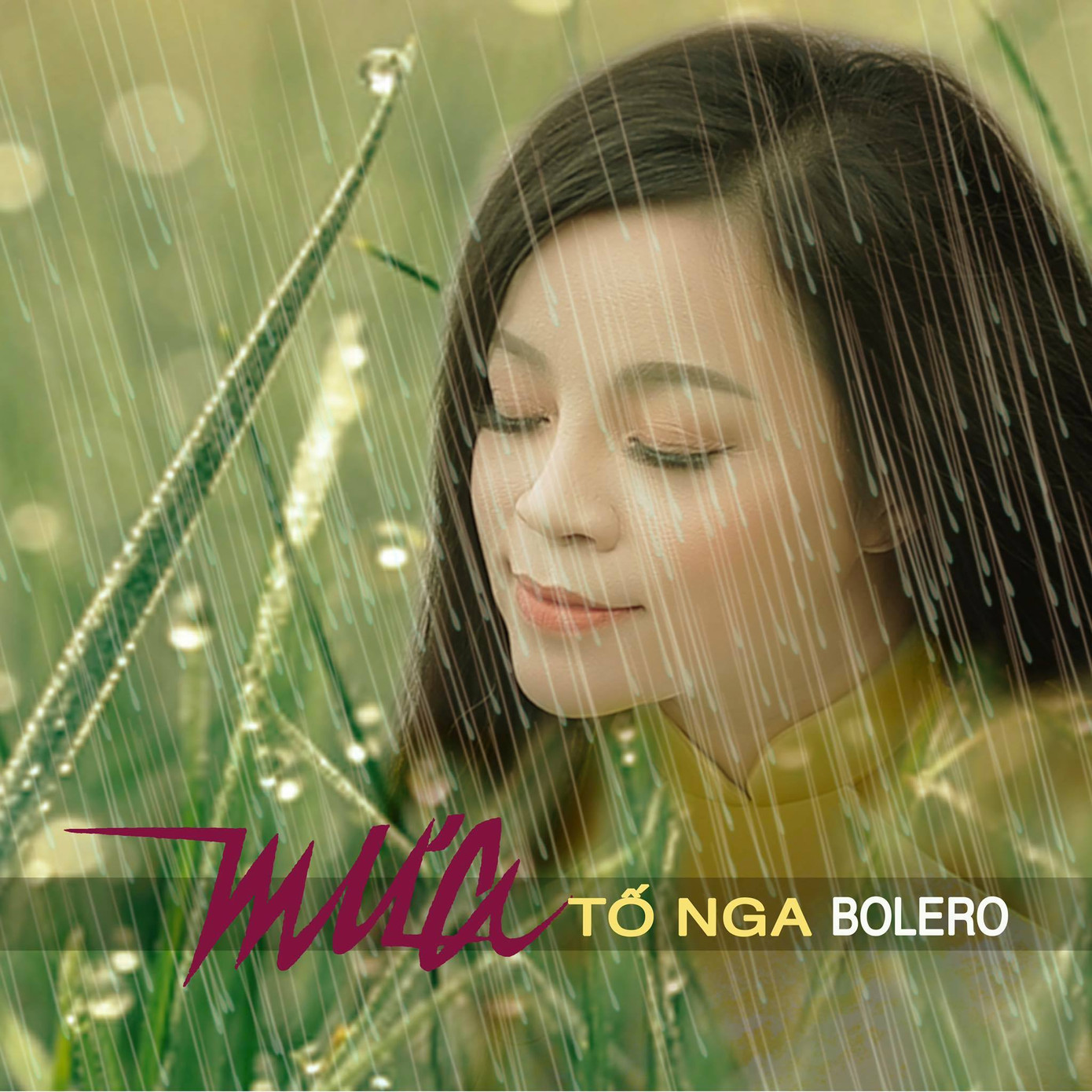 NSƯT Tố Nga kể chuyện bị danh ca Chế Linh từ chối thu âm song ca bolero ảnh 2