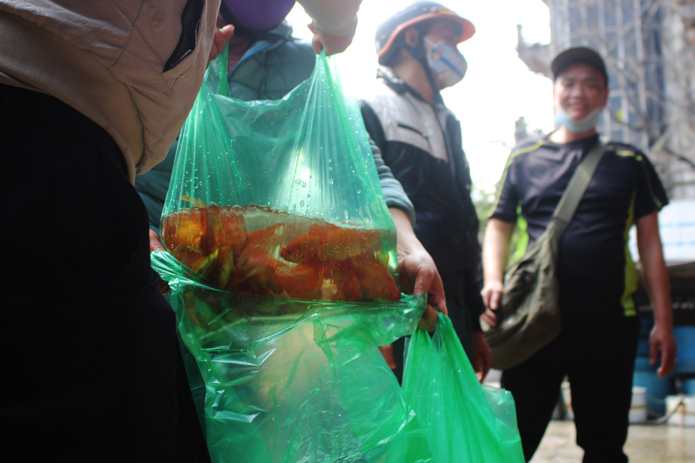 Chợ cá Hà Nội 'cháy' hàng dịp ông Công, ông Táo dù giá liên tục leo thang ảnh 7