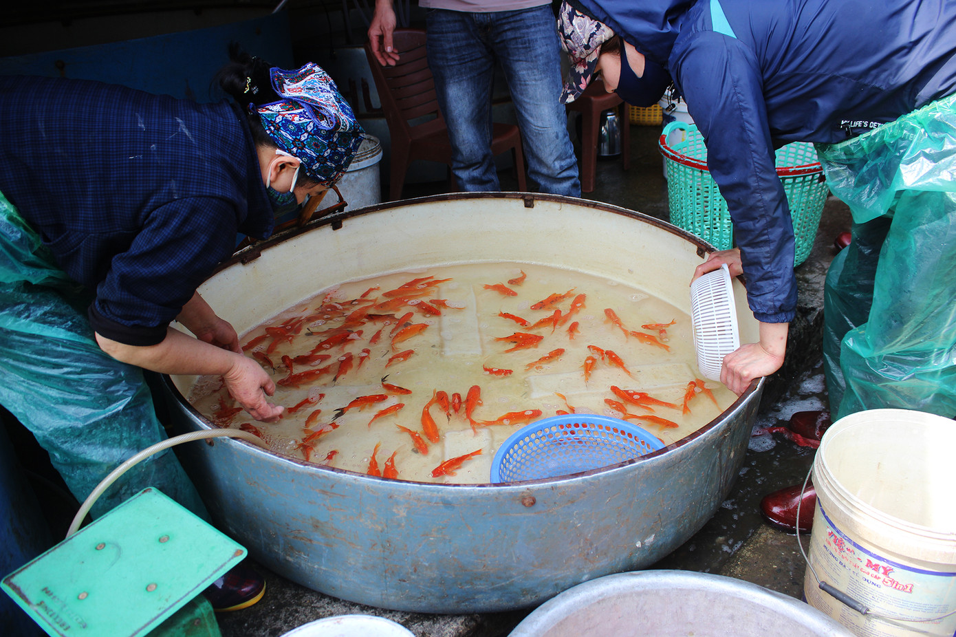 Chợ cá Hà Nội 'cháy' hàng dịp ông Công, ông Táo dù giá liên tục leo thang ảnh 10