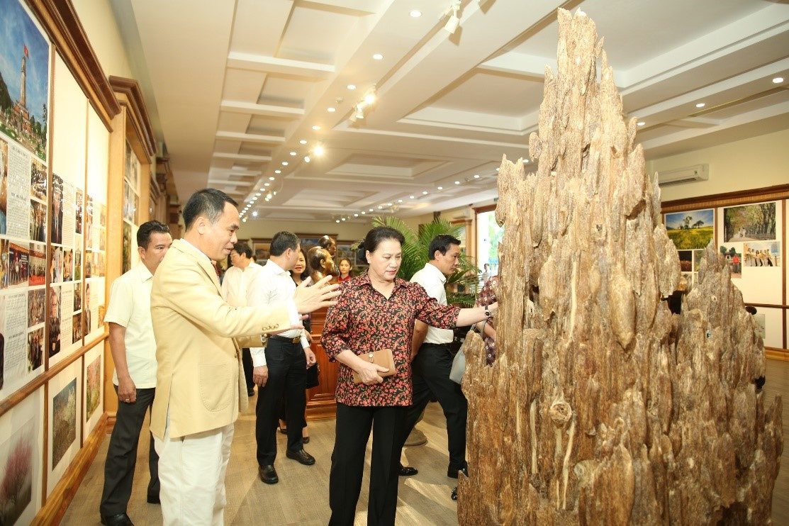 Trầm Hương Khánh Hòa và Tài năng trẻ Việt Nam cùng tỏa hương thơm Trí Tuệ ảnh 3