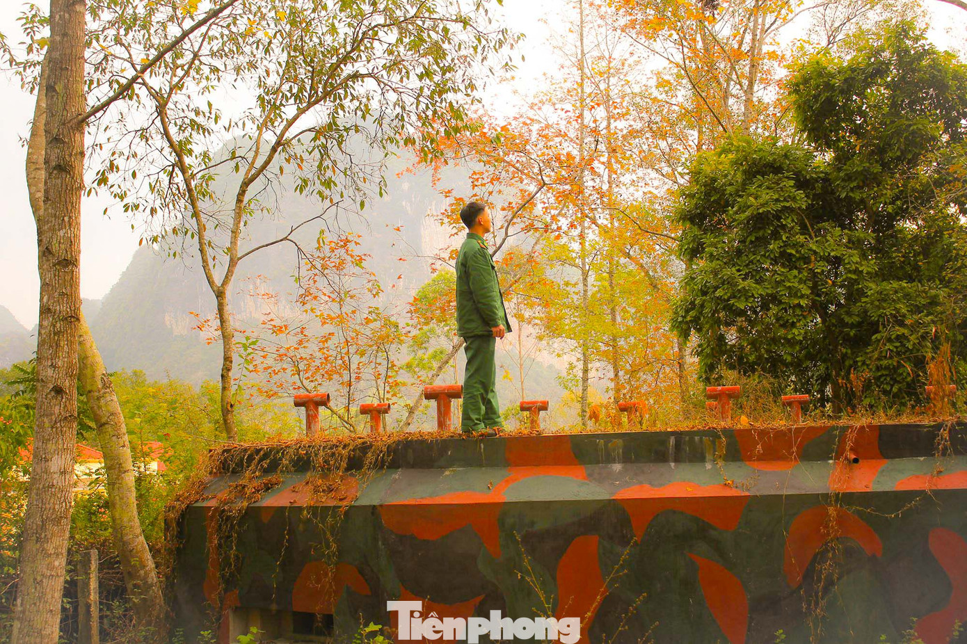 Mê mẩn 'lạc' vào cánh rừng Sau Sau đỏ nơi biên giới Cao Bằng ảnh 15