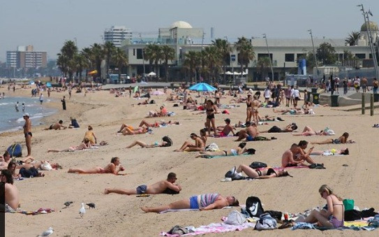 Úc ban bố tình trạng khẩn cấp vì khủng hoảng cháy rừng ảnh 1