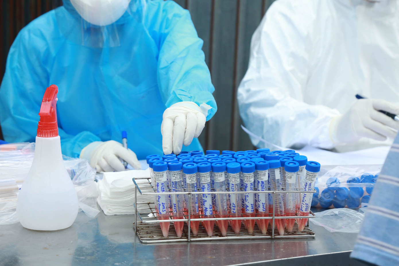 Hạ Lôi xịt khử trùng từng mớ rau, con gà ngày cách ly ảnh 15