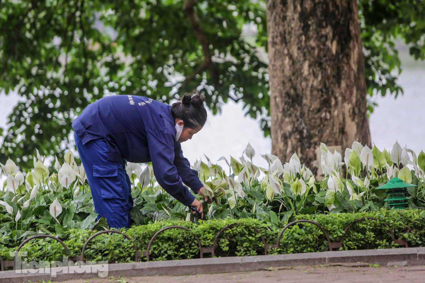 Gần hết hạn giãn cách xã hội, hàng quán rục rịch hoạt động trở lại ảnh 11