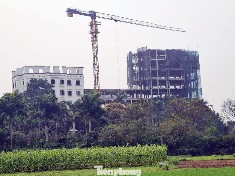 Hà Nội lệnh xử lý công trình ‘khủng’ 9 tầng trên đất trồng cây Đồi Vua ảnh 3
