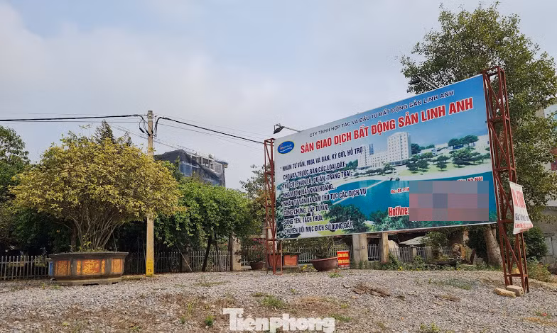 Hà Nội lệnh xử lý công trình ‘khủng’ 9 tầng trên đất trồng cây Đồi Vua ảnh 5