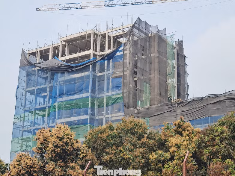 Hà Nội lệnh xử lý công trình ‘khủng’ 9 tầng trên đất trồng cây Đồi Vua ảnh 2