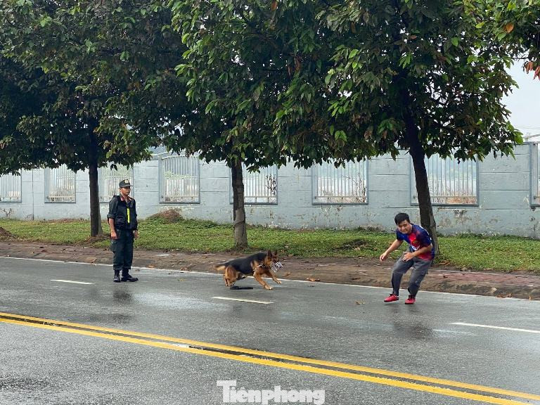 Tuổi trẻ Công an Bình Dương và cảnh khuyển tham gia bảo vệ Đại hội Đảng ảnh 8