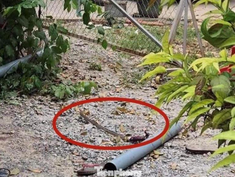 Công an lên tiếng vụ hỗn chiến khiến 3 người tử vong ở Bình Dương ảnh 5