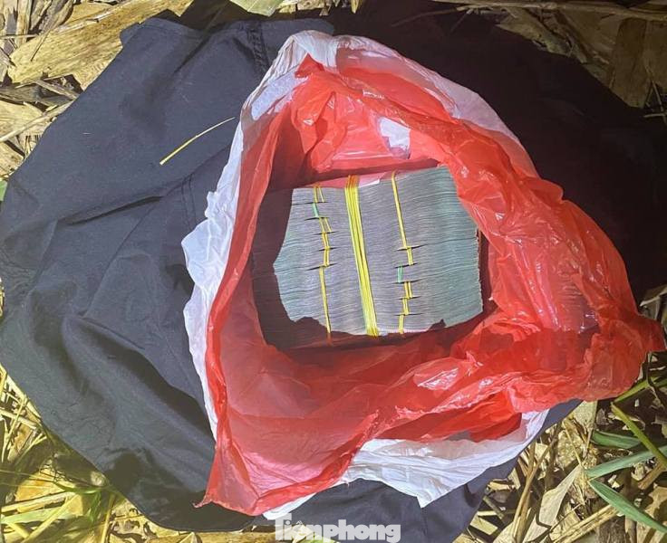 Bắt đối tượng đột nhập nhà dân trộm nửa tỷ đồng ảnh 2