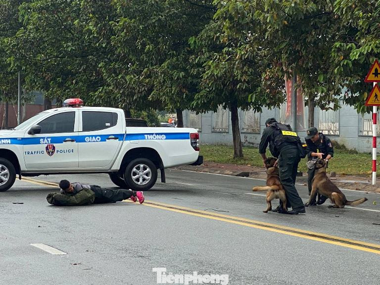 Tuổi trẻ Công an Bình Dương và cảnh khuyển tham gia bảo vệ Đại hội Đảng ảnh 5