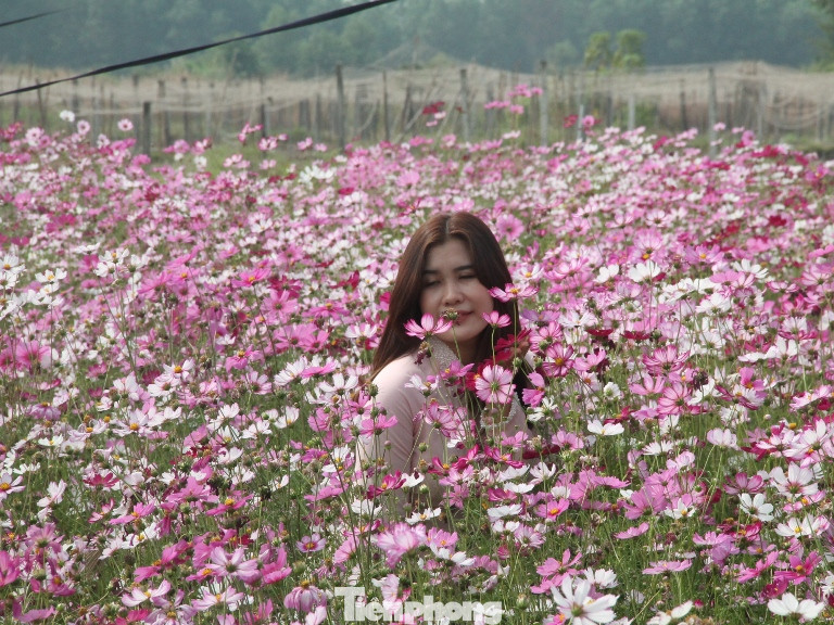 Thiên đường hoa Bình Dương ‘đốn tim’ du khách ảnh 1