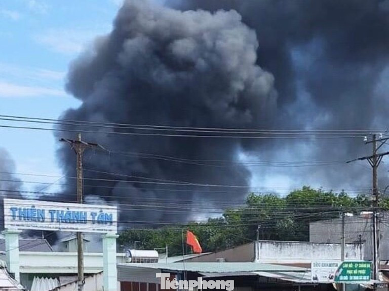 Công ty thiết bị xây dựng ở Bình Dương chìm trong biển lửa ảnh 2