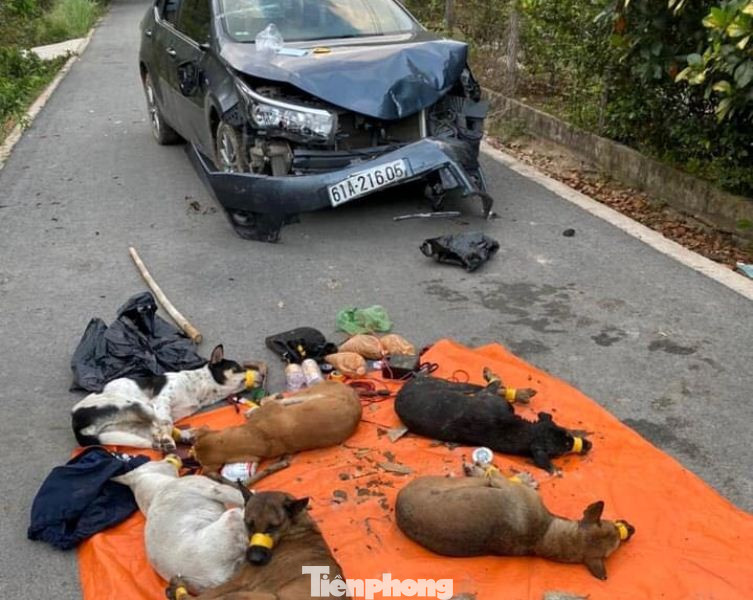 Trộm chó lái ô tô lao thẳng vào tổ tuần tra chốt chặn ảnh 1