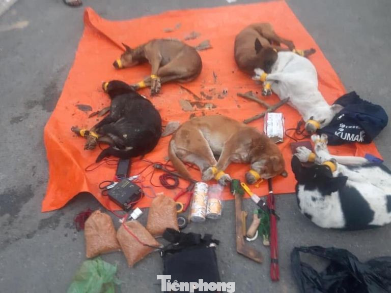 Trộm chó lái ô tô lao thẳng vào tổ tuần tra chốt chặn ảnh 2