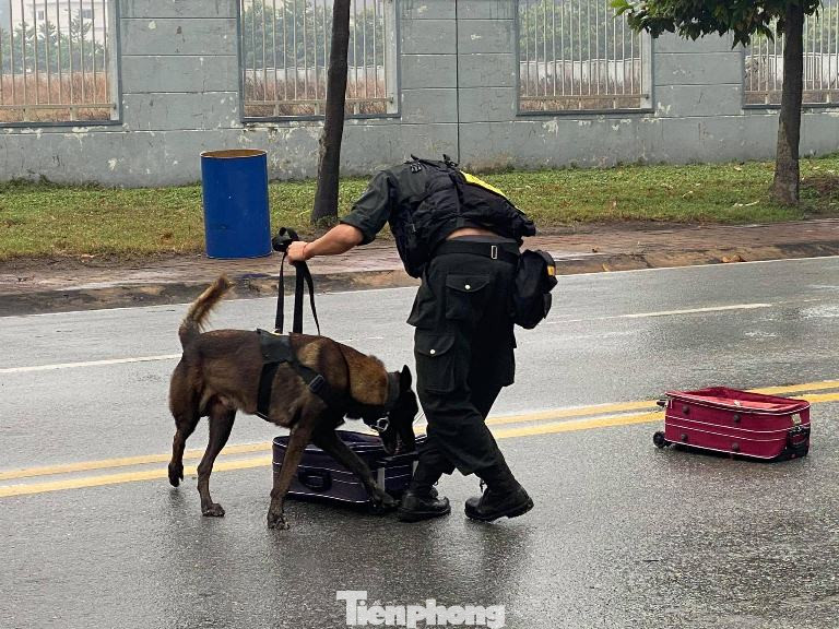 Tuổi trẻ Công an Bình Dương và cảnh khuyển tham gia bảo vệ Đại hội Đảng ảnh 7