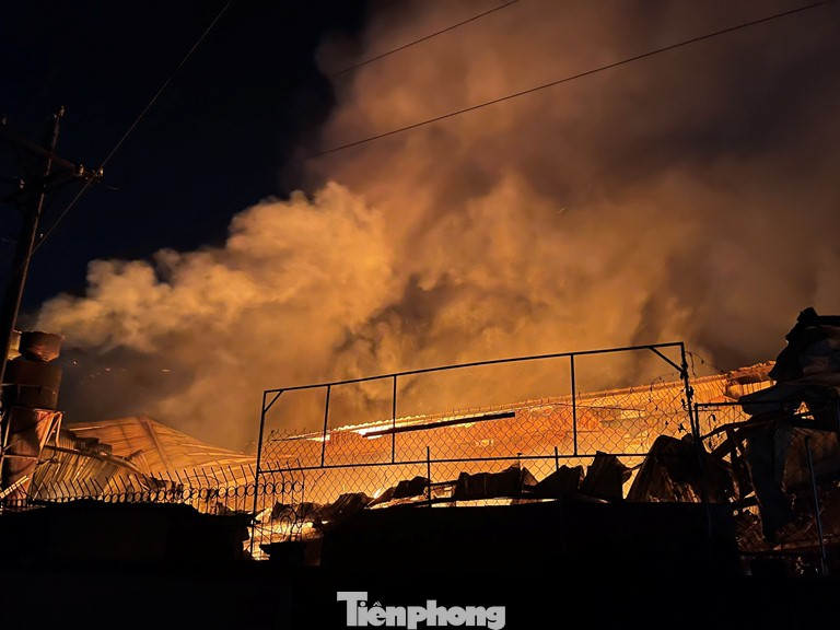 Công nhân bật khóc khi công ty gỗ rộng 5.000m2 bị lửa nhấn chìm ảnh 4