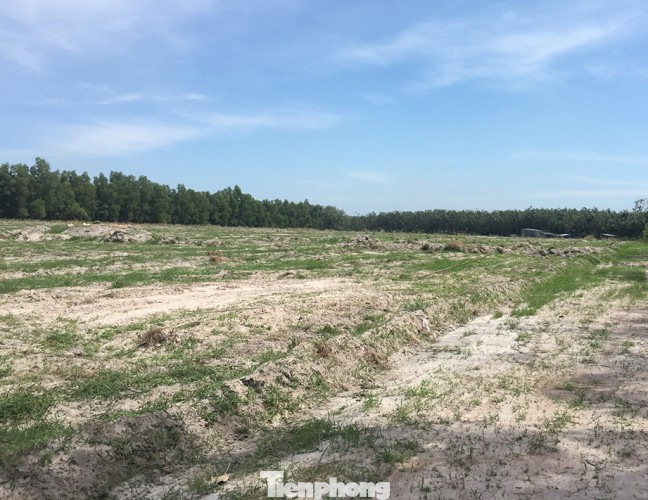 Bắt giam 2 lãnh đạo công ty bất động sản ở Bình Dương ảnh 3