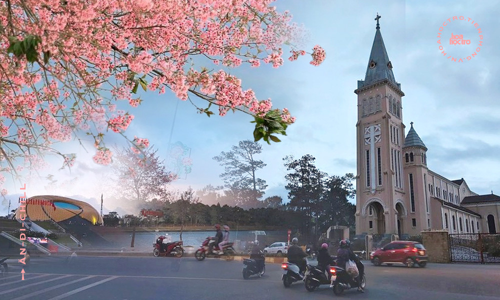 Món ngon ngày Tết: Những viên kẹo Nougat lạ miệng với bánh quy, dừa non và mứt quả khô ảnh 11