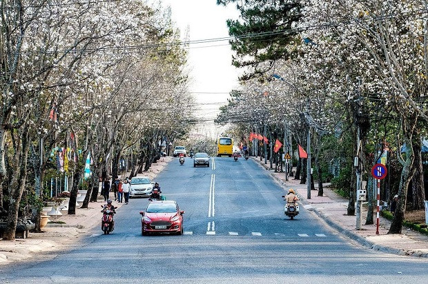 Nếu không muốn Đà Lạt bị mất đi vẻ "mơ mộng" vì những "cột đèn 3 màu", mỗi chúng ta cần có ý thức hơn khi tham gia giao thông. - Nguồn: Vietnam Booking Đà Lạt lắp đặt đèn giao thông: Phải hy sinh nét văn hóa riêng vì du khách ngày càng đông? ảnh 5