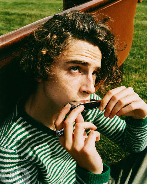 Chuyện giờ mới kể của Timothée Chalamet: Từng ở ẩn một tháng để “trốn” sự nổi tiếng ảnh 2