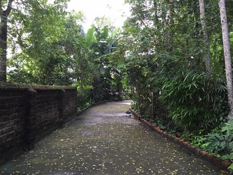 Thăm nhà 'cha đẻ' của Tám Bính và Năm Sài Gòn ảnh 2