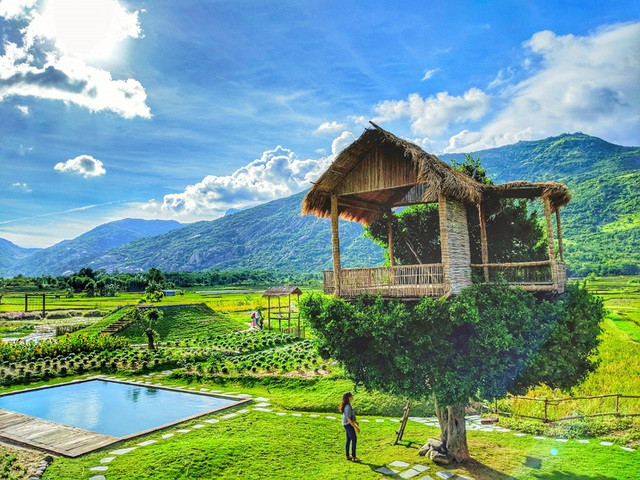 Cận cảnh những ngôi nhà 'treo mình' trên cây, 'độc' nhất Việt Nam ảnh 1