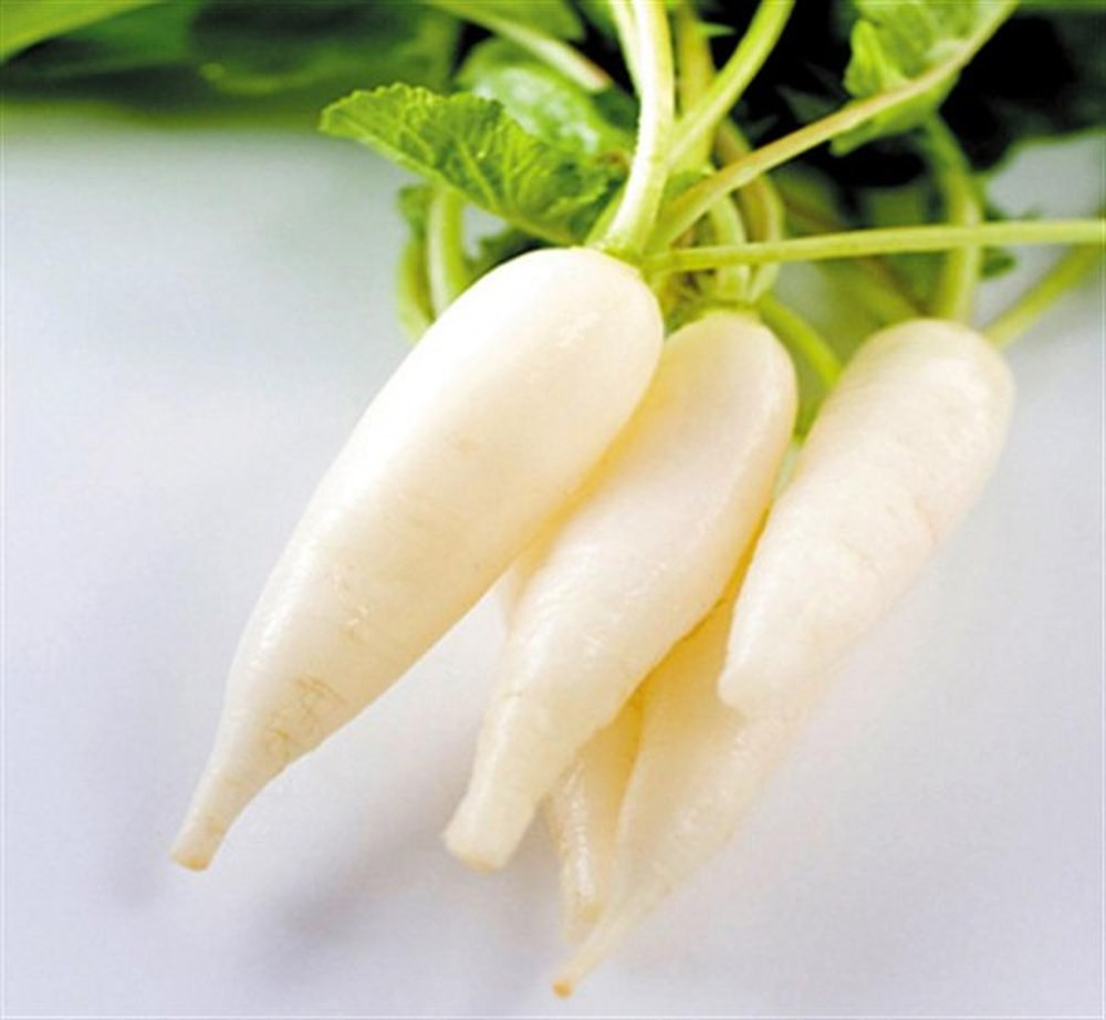 Củ cải trắng chứa lượng vitamin C cao, tốt cho sức khỏe. Cũng tương tự như cà chua, nếu ăn củ cải trắng cùng cà rốt sẽ làm vô hiệu hóa tác dụng của vitamin C, làm cơ thể không hấp thu tối đa các chất dinh dưỡng. Ảnh minh họa: Internet Cà rốt thành ‘thuốc độc’ nếu bạn ăn theo những cách sau ảnh 1