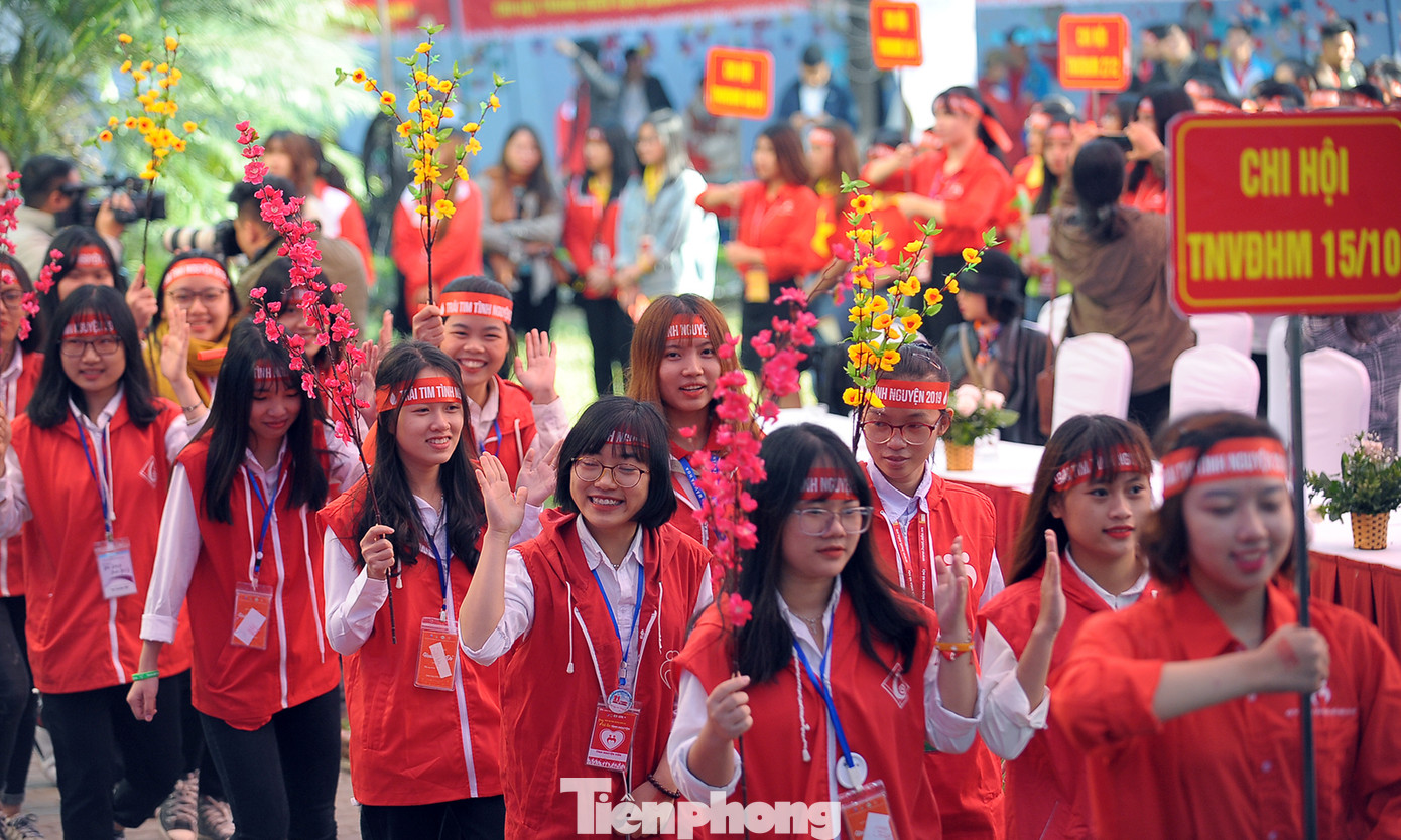 Sôi nổi Ngày hội tình nguyện Quốc gia 2019 ảnh 1