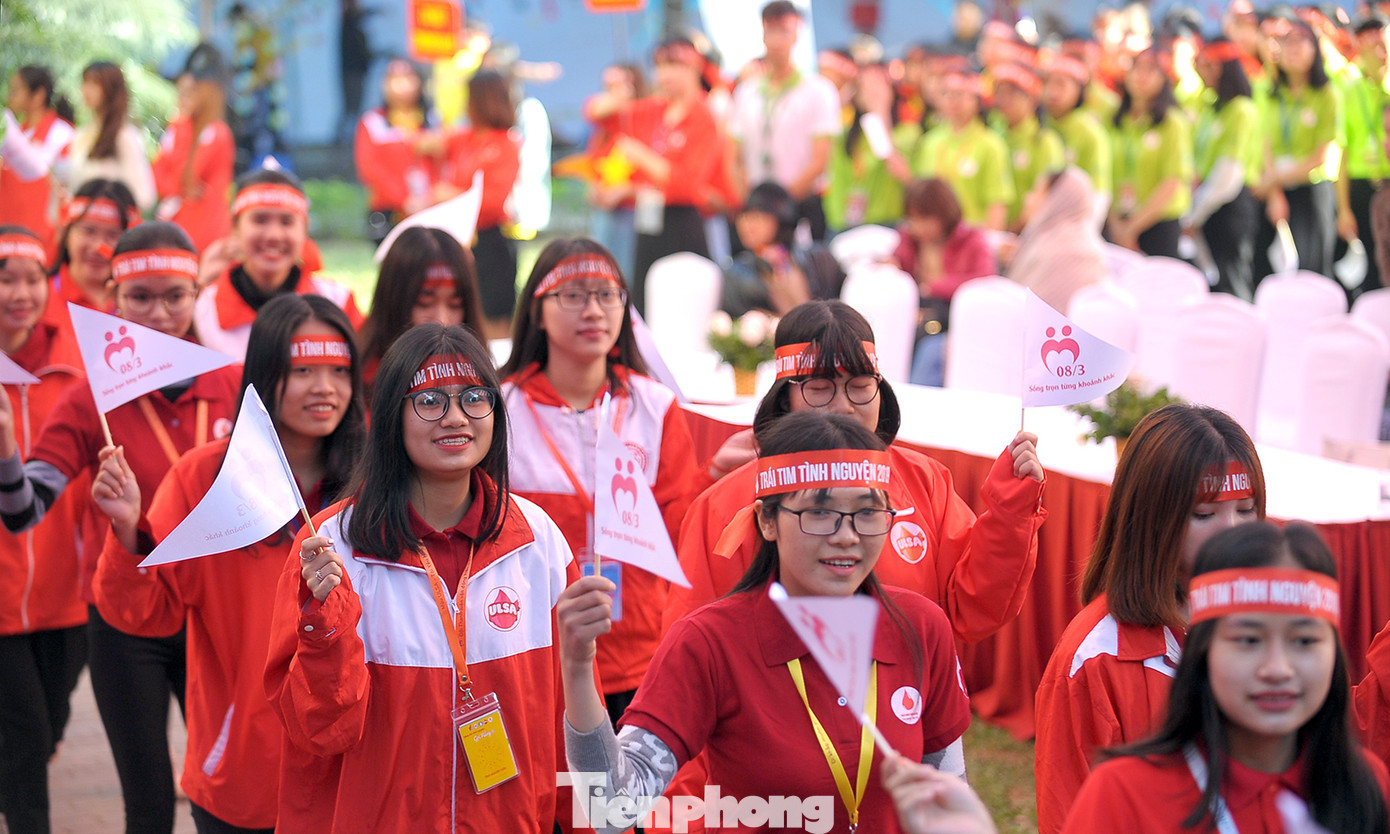 Sôi nổi Ngày hội tình nguyện Quốc gia 2019 ảnh 2