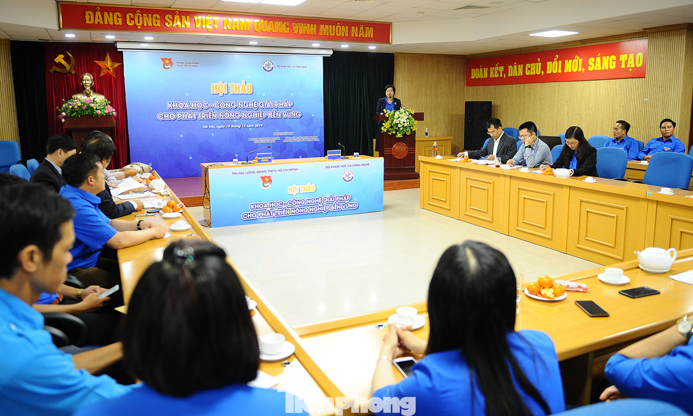 Nhà nông trẻ làm chủ kinh doanh trong thời đại số ảnh 1