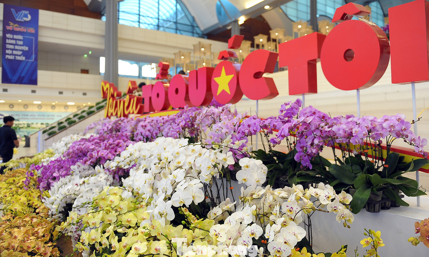 1.200 cành lan khoe sắc không gian Đại hội Hội LHTN Việt Nam lần thứ VIII ảnh 8