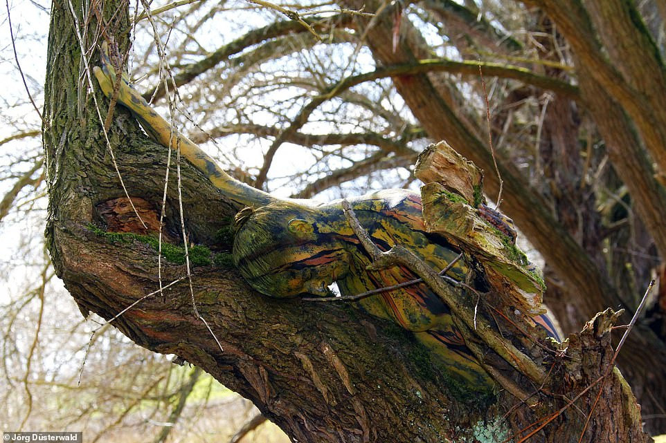 Căng mắt tìm người mẫu khỏa thân trong bộ ảnh thiên nhiên ảnh 10