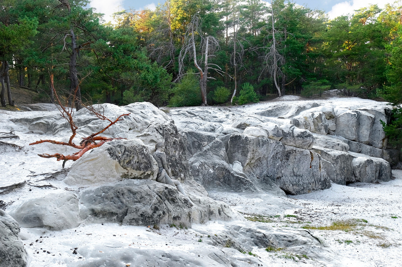 Căng mắt tìm người mẫu khỏa thân trong bộ ảnh thiên nhiên ảnh 5