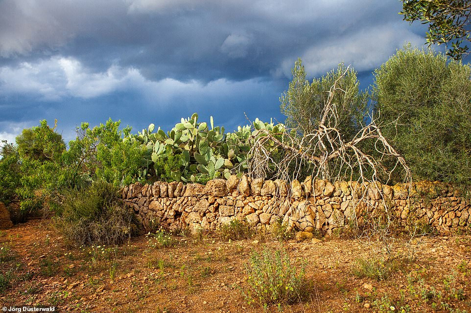 Căng mắt tìm người mẫu khỏa thân trong bộ ảnh thiên nhiên ảnh 13