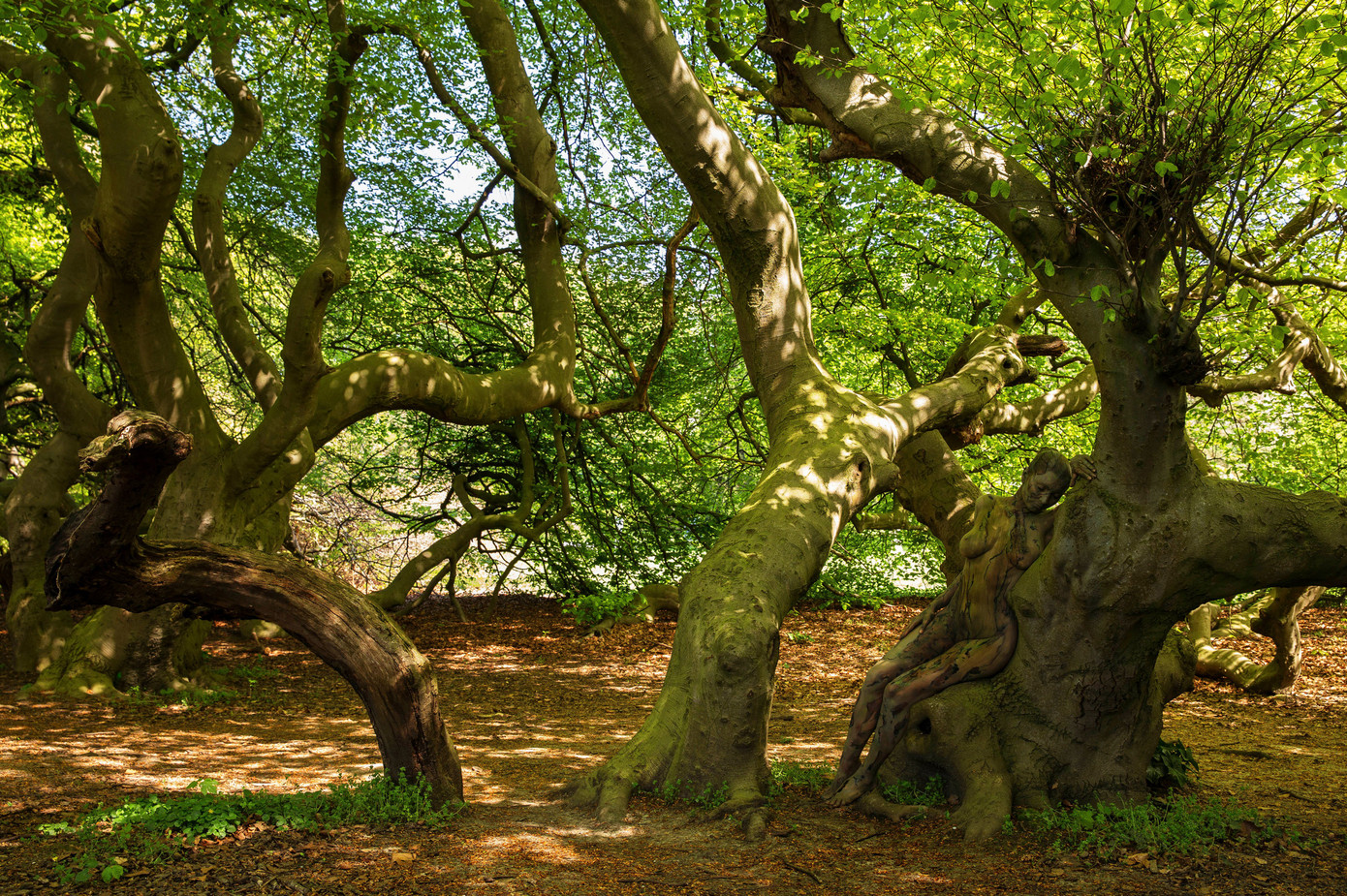 Căng mắt tìm người mẫu khỏa thân trong bộ ảnh thiên nhiên ảnh 6