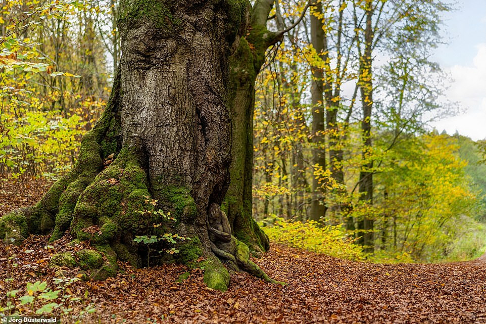 Căng mắt tìm người mẫu khỏa thân trong bộ ảnh thiên nhiên ảnh 7