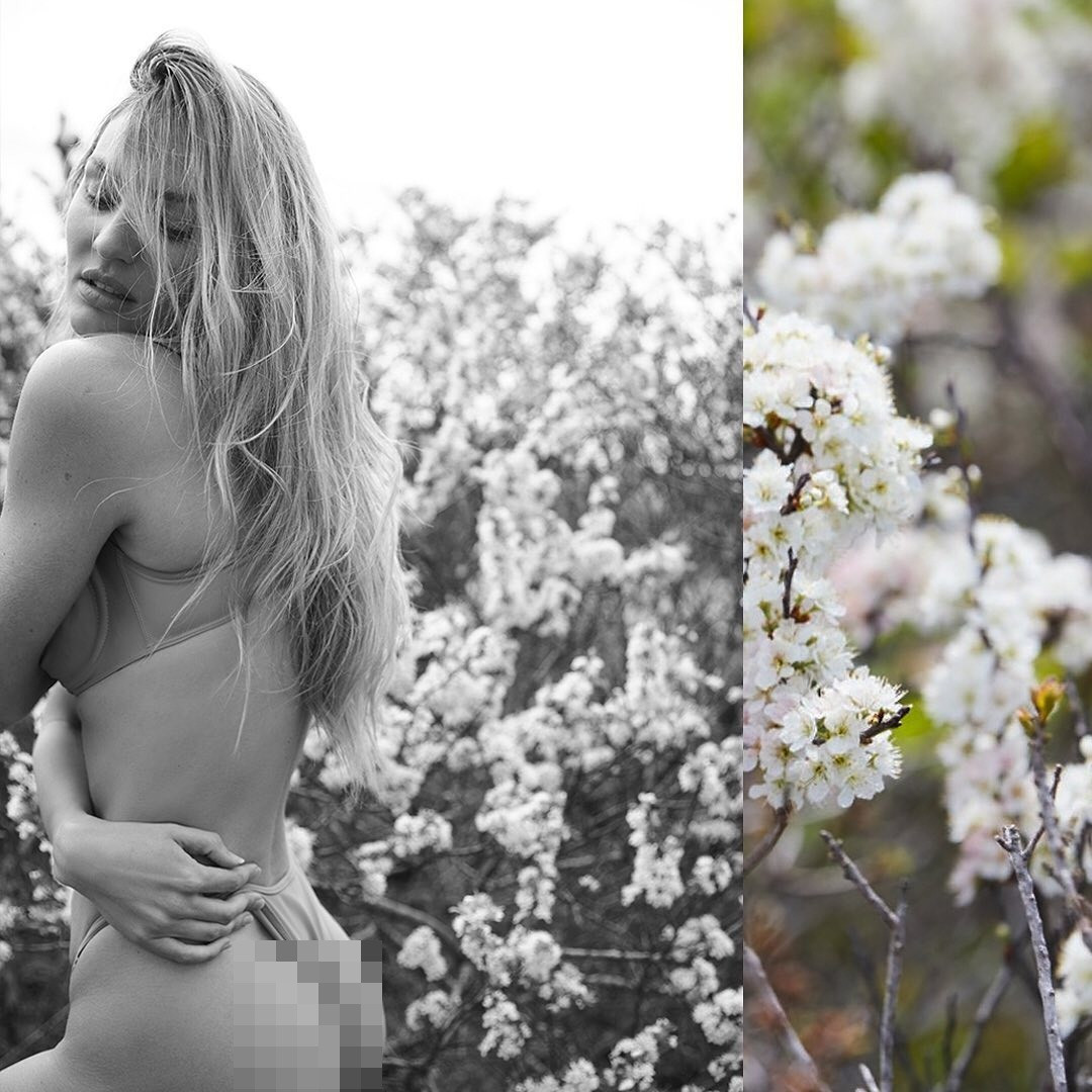 'Biểu tượng nhan sắc Nam Phi' mặc bikini gợi cảm ngây ngất giữa cánh đồng hoa ảnh 8