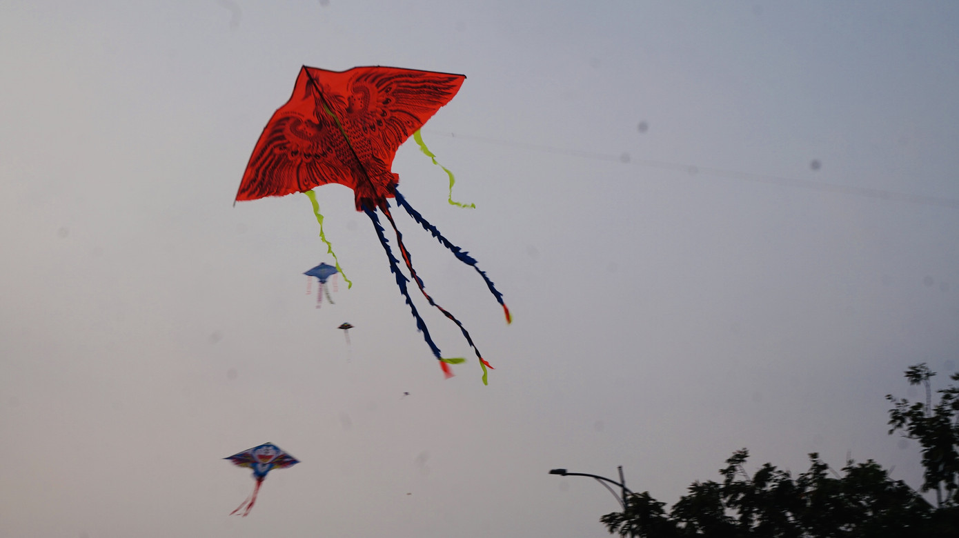 Bạn trẻ Sài Gòn thả diều, 'xin một vé' trở về tuổi thơ ảnh 7