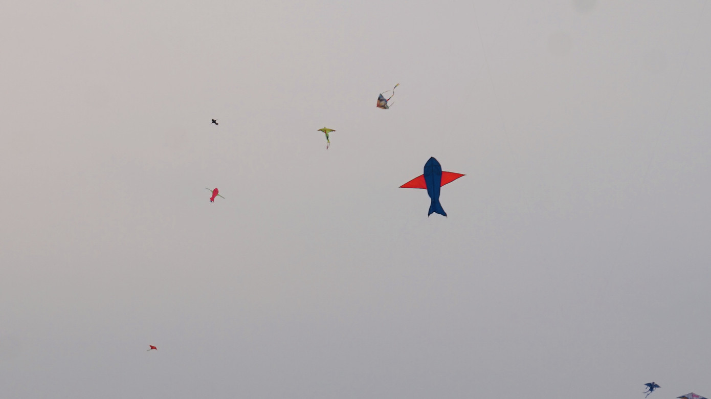 Bạn trẻ Sài Gòn thả diều, 'xin một vé' trở về tuổi thơ ảnh 4